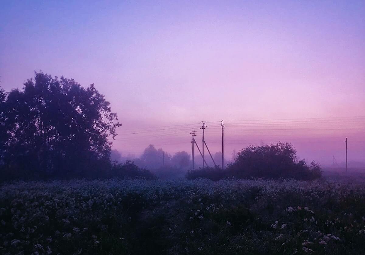 黑料网新手怎么上手？实测结果整理，黑料网 rmvb 下载