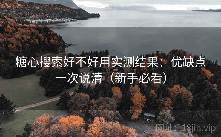 糖心搜索好不好用实测结果：优缺点一次说清（新手必看）