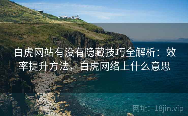 白虎网站有没有隐藏技巧全解析：效率提升方法，白虎网络上什么意思