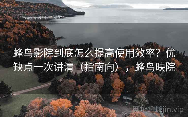 蜂鸟影院到底怎么提高使用效率？优缺点一次讲清（指南向），蜂鸟映院