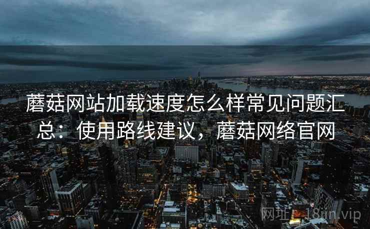 蘑菇网站加载速度怎么样常见问题汇总：使用路线建议，蘑菇网络官网