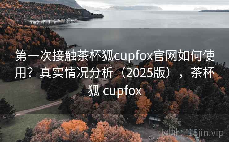 第一次接触茶杯狐cupfox官网如何使用？真实情况分析（2025版），茶杯狐 cupfox