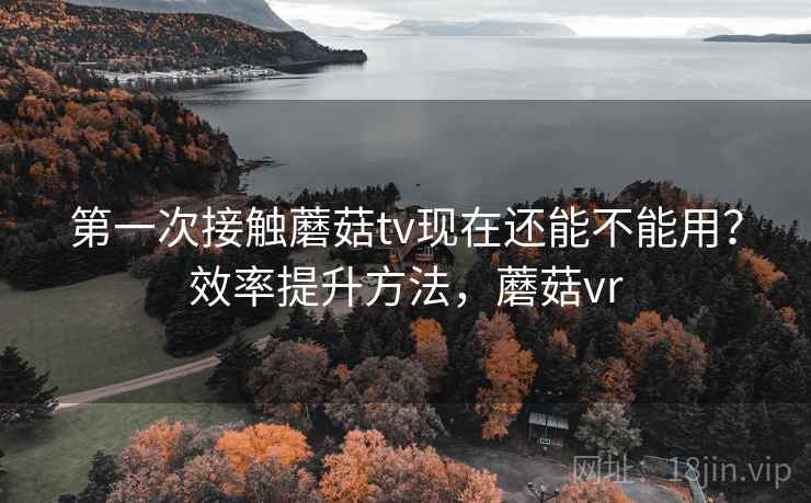 第一次接触蘑菇tv现在还能不能用?效率提升方法,蘑菇vr 第一次接触蘑菇tv现在还能不能用?效率提升方法,蘑菇vr